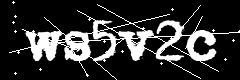 图形验证码